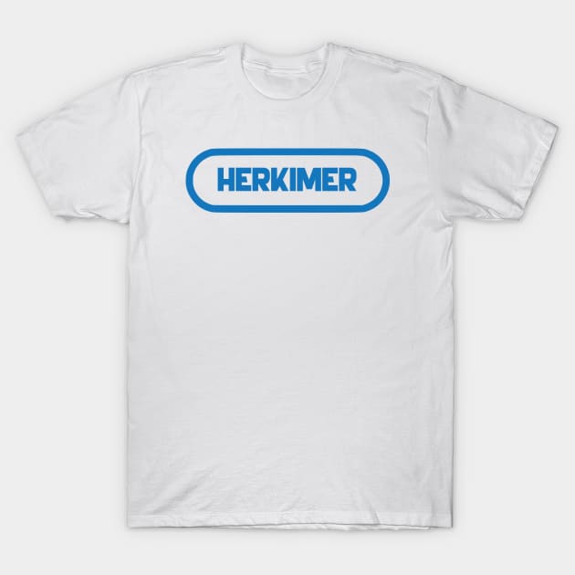 Herkimer City T-Shirt by AvoriseStudio